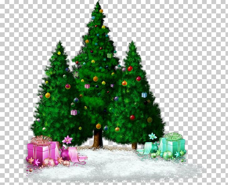 Christmas Tree Christmas Ornament Advent Holiday PNG, Clipart, Advent, Birthday, Blog, Candle, Christmas Free PNG Download