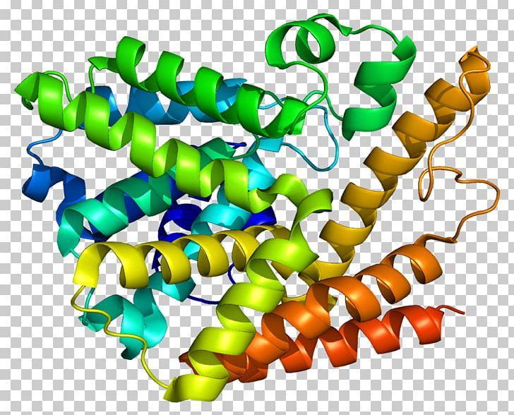PDE7A Cyclic Nucleotide Phosphodiesterase Cyclic Guanosine Monophosphate Cyclic Adenosine Monophosphate PNG, Clipart, 4 Pm, 7 A, Body Jewelry, Cyclic Adenosine Monophosphate, Gene Free PNG Download