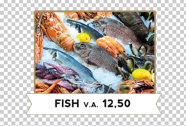 Fish Market Seafood Marketplace PNG, Clipart, Animal Source Foods, Fauna, Fish, Fish Market, Fish Products Free PNG Download