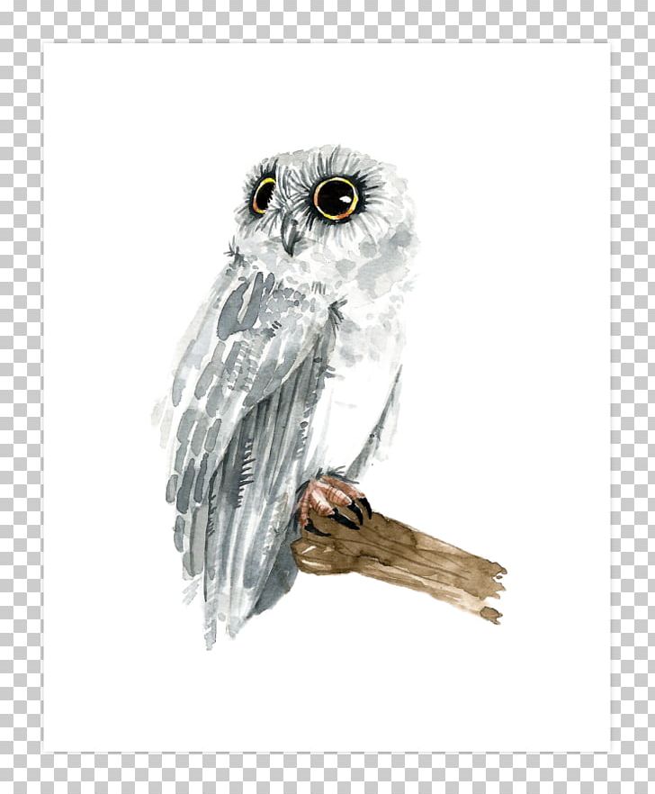 Owl Hawk Beak Stock Photography Feather PNG, Clipart, Animals, Art Print, Beak, Bird, Bird Of Prey Free PNG Download