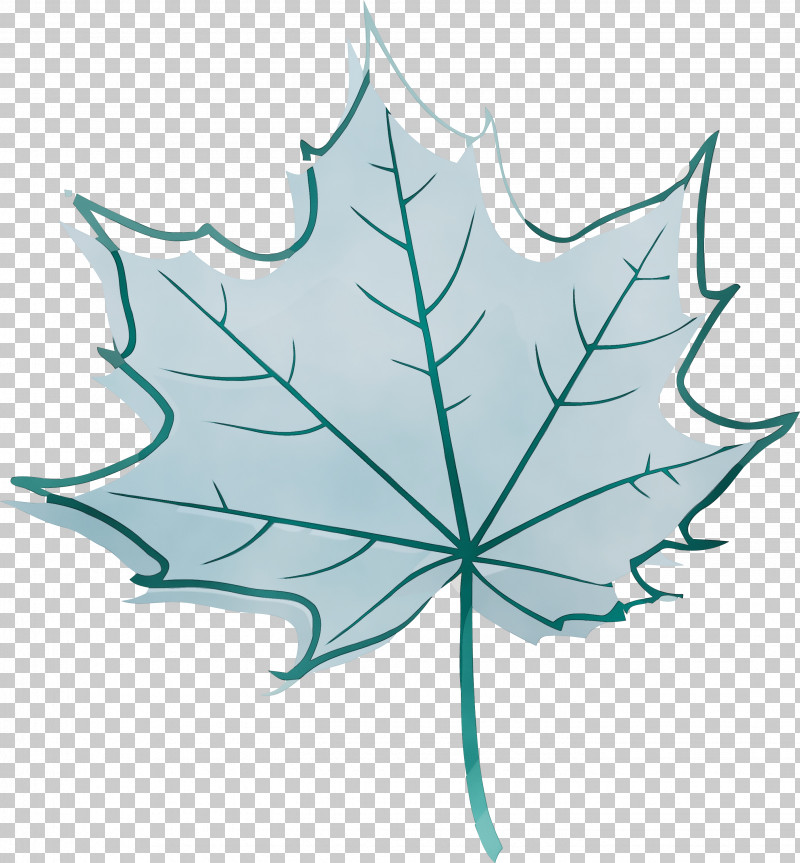 Maple Leaf PNG, Clipart, Autumn Leaf, Black Maple, Leaf, Maple, Maple Leaf Free PNG Download