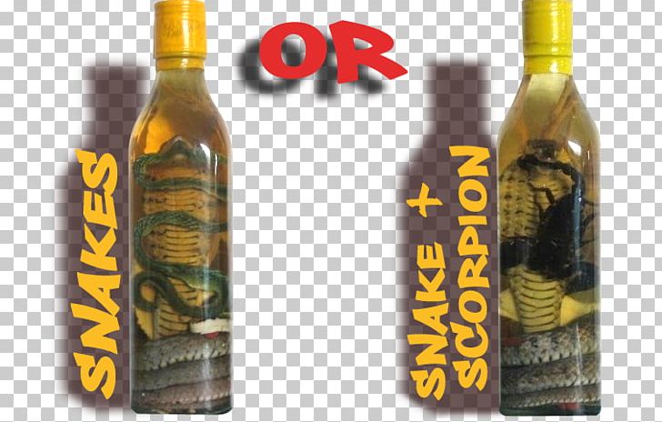 Liqueur Snake Wine Distilled Beverage PNG, Clipart, Alcoholic Drink, Bizarre Foods With Andrew Zimmern, Bottle, Cobra, Distilled Beverage Free PNG Download