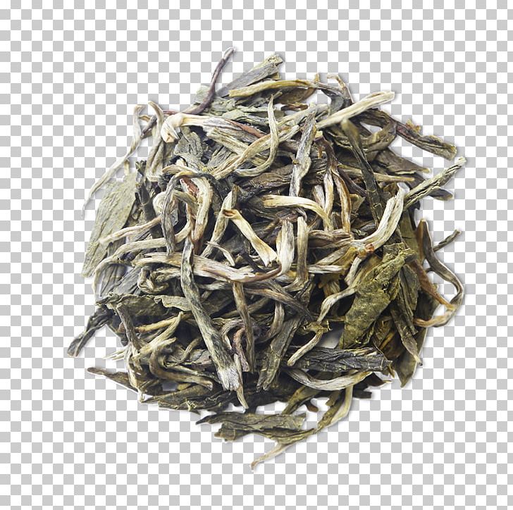 White Tea Dianhong Bai Mudan Nilgiri Tea PNG, Clipart, Assam Tea, Bai Mudan, Green Tea, Hojicha, Huangshan Maofeng Free PNG Download