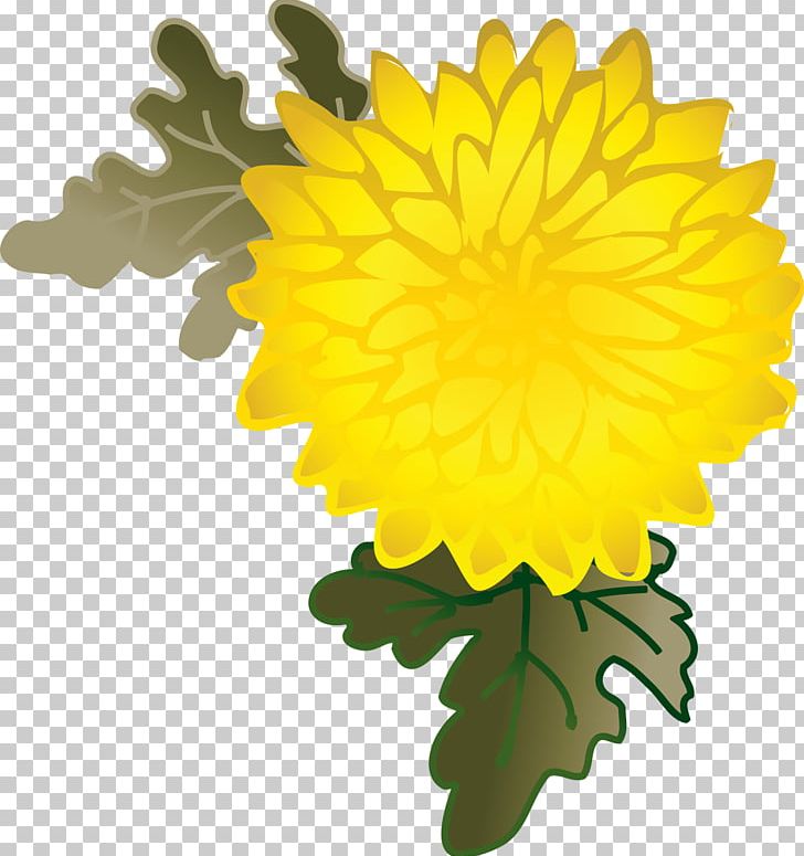 Dandelion Chrysanthemum Pot Marigold Petal PNG, Clipart, Calendula, Chrysanthemum, Chrysanths, Daisy Family, Dandelion Free PNG Download
