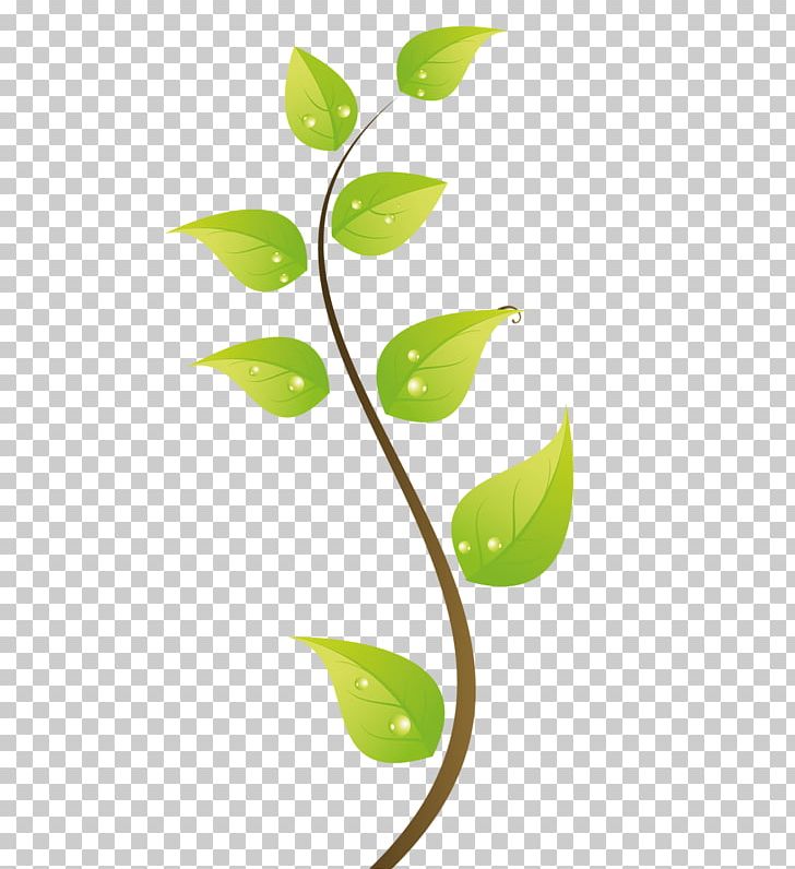 green leaves branch clip art