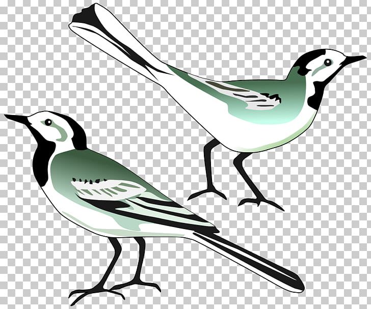 White Wagtail Computer Icons PNG, Clipart, Animals, Artwork, Beak, Bird, Black And White Free PNG Download