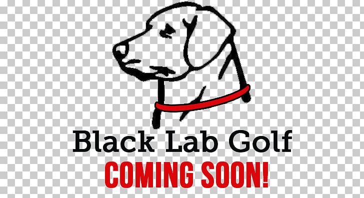 Labrador Retriever Paper Decal Sticker PNG, Clipart, Bird Dog, Black And White, Bumper Sticker, Carnivoran, Cartoon Free PNG Download