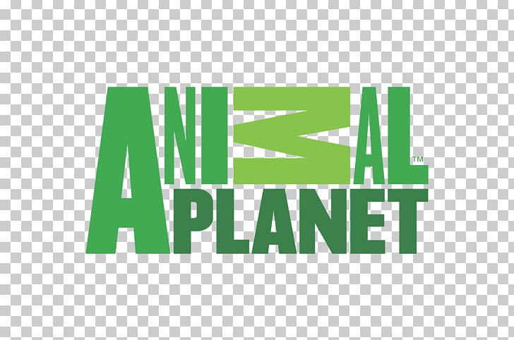 Animal Planet Dog Television Channel Television Show PNG, Clipart, Animal, Animal Planet, Animal Planet Hd, Animal Planet Logo, Animals Free PNG Download