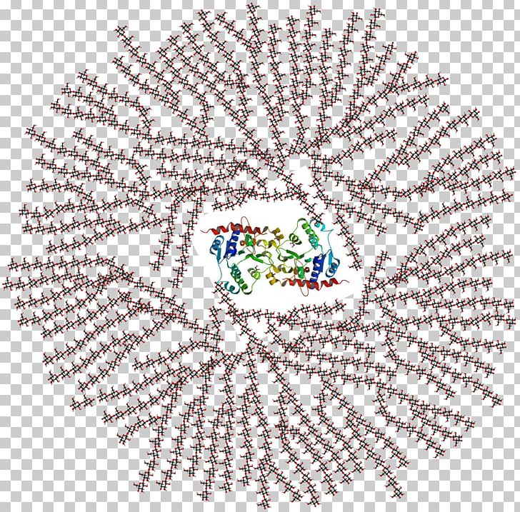 Glycogenin Polysaccharide Glucose Molecule PNG, Clipart, Area, Art, Branching, Cell, Circle Free PNG Download