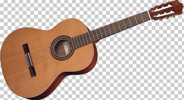 Acoustic Guitar Acoustic-electric Guitar Takamine Pro Series P3DC Takamine Guitars PNG, Clipart, Acoustic Electric Guitar, Cuatro, Cutaway, Guitar Accessory, Senorita Free PNG Download