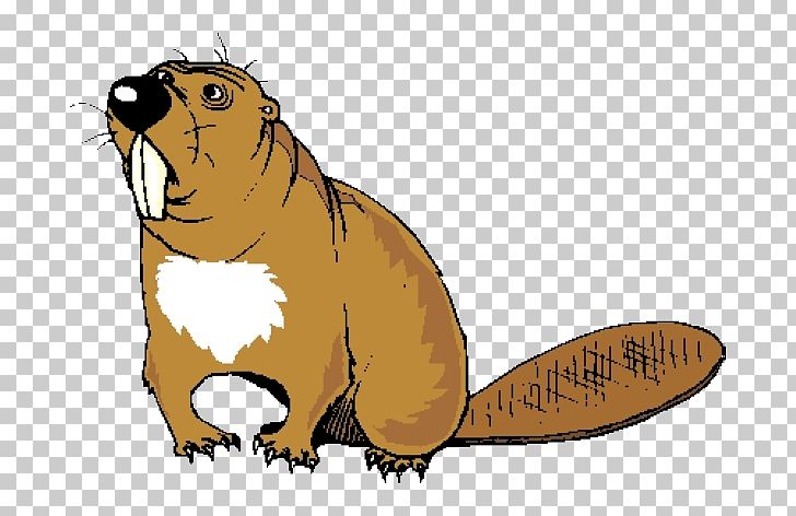 Beaver PNG, Clipart, Animals, Balloon Cartoon, Beaver, Boy Cartoon, Carnivoran Free PNG Download