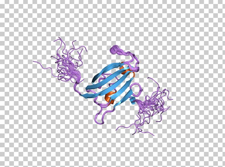 FKBP10 FKBP8 Gene Calcineurin PNG, Clipart, 2 D, Art, Calcineurin, D 9, Domain Free PNG Download