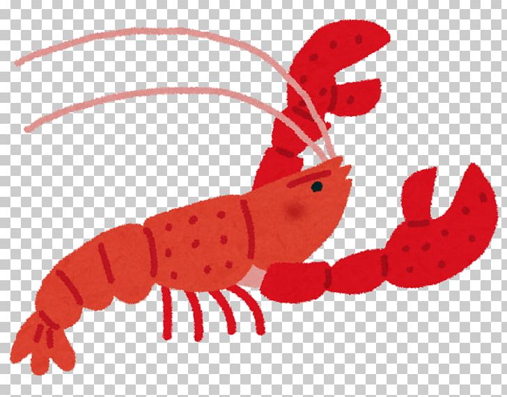 Marbled Crayfish Louisiana Crawfish Cambarellus Patzcuarensis Blue Crayfish PNG, Clipart, Animal, Animal Source Foods, Blue, Cambarellus Patzcuarensis, Child Free PNG Download