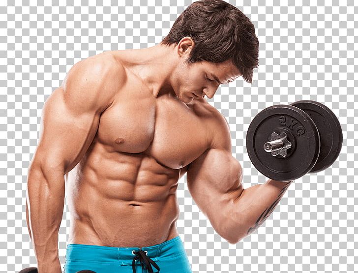 Muscle Hypertrophy Bodybuilding Human Body Anabolic Steroid Male PNG, Clipart,  Free PNG Download
