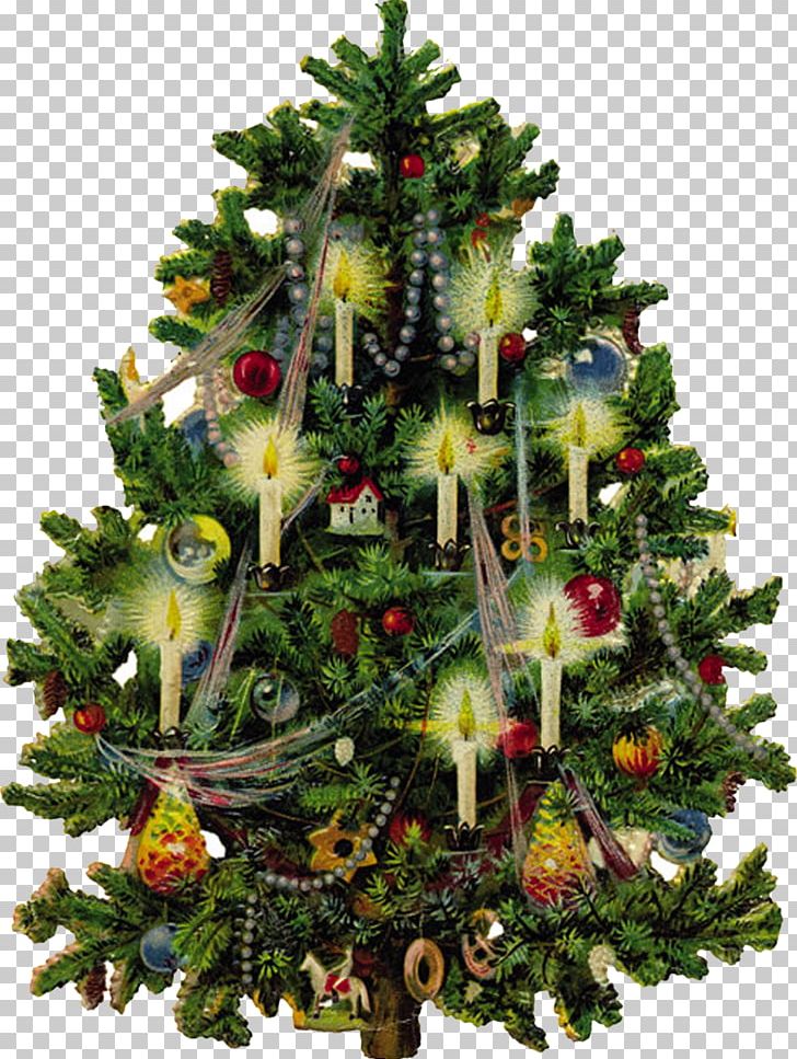 Victorian Era Christmas Tree Santa Claus PNG, Clipart, Artificial Christmas Tree, Christmas, Christmas Card, Christmas Decoration, Christmas Ornament Free PNG Download