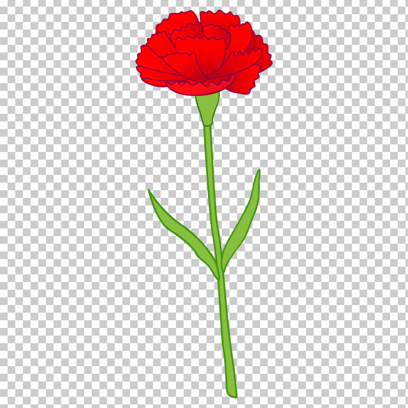 Carnation Flower PNG, Clipart, Carnation, Coquelicot, Cut Flowers, Flower, Pedicel Free PNG Download
