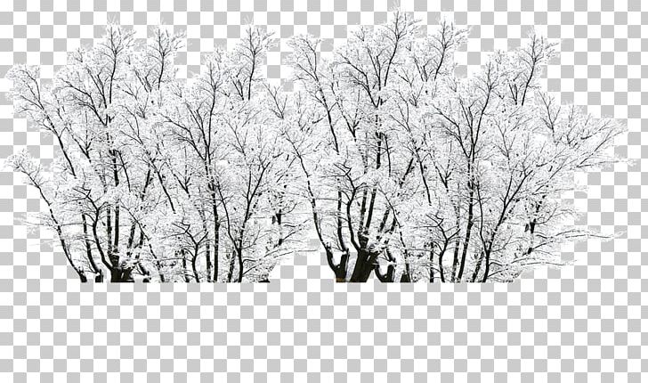 Creativity Winter PNG, Clipart, Aesthetics, Beautiful, Black And White, Branch, Computer Wallpaper Free PNG Download
