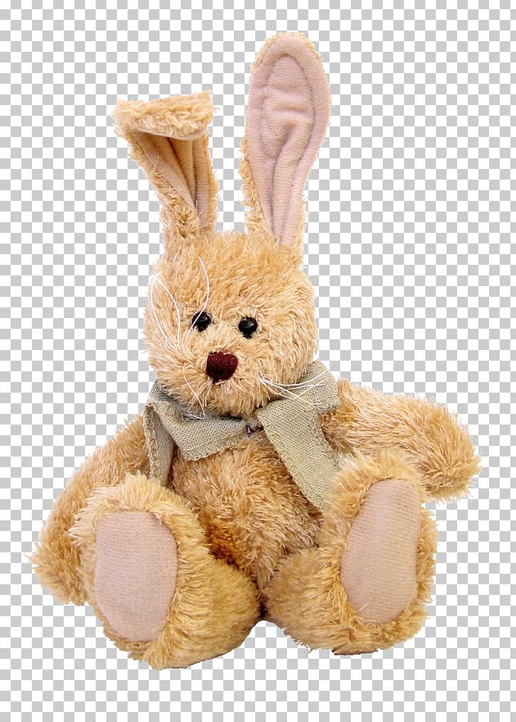 Easter Bunny Domestic Rabbit Easter Basket PNG, Clipart, Adoption, Animal Welfare, Bunnies, Child, Christmas Free PNG Download