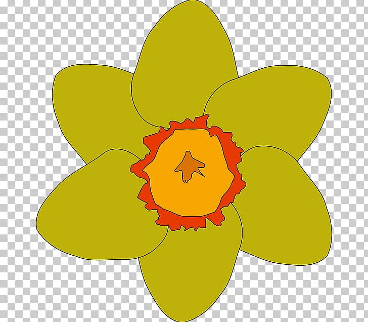 Flower Drawing PNG, Clipart, Art, Chamomile, Computer Icons, Download, Drawing Free PNG Download