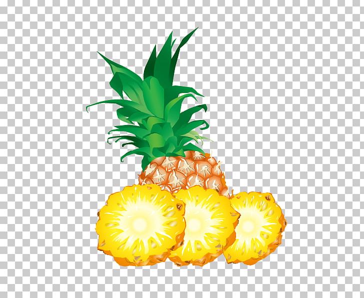 Pineapple Fruit Scalable Graphics PNG, Clipart, Ana, Bromeliaceae, Cartoon Pineapple, Delicious, Download Free PNG Download