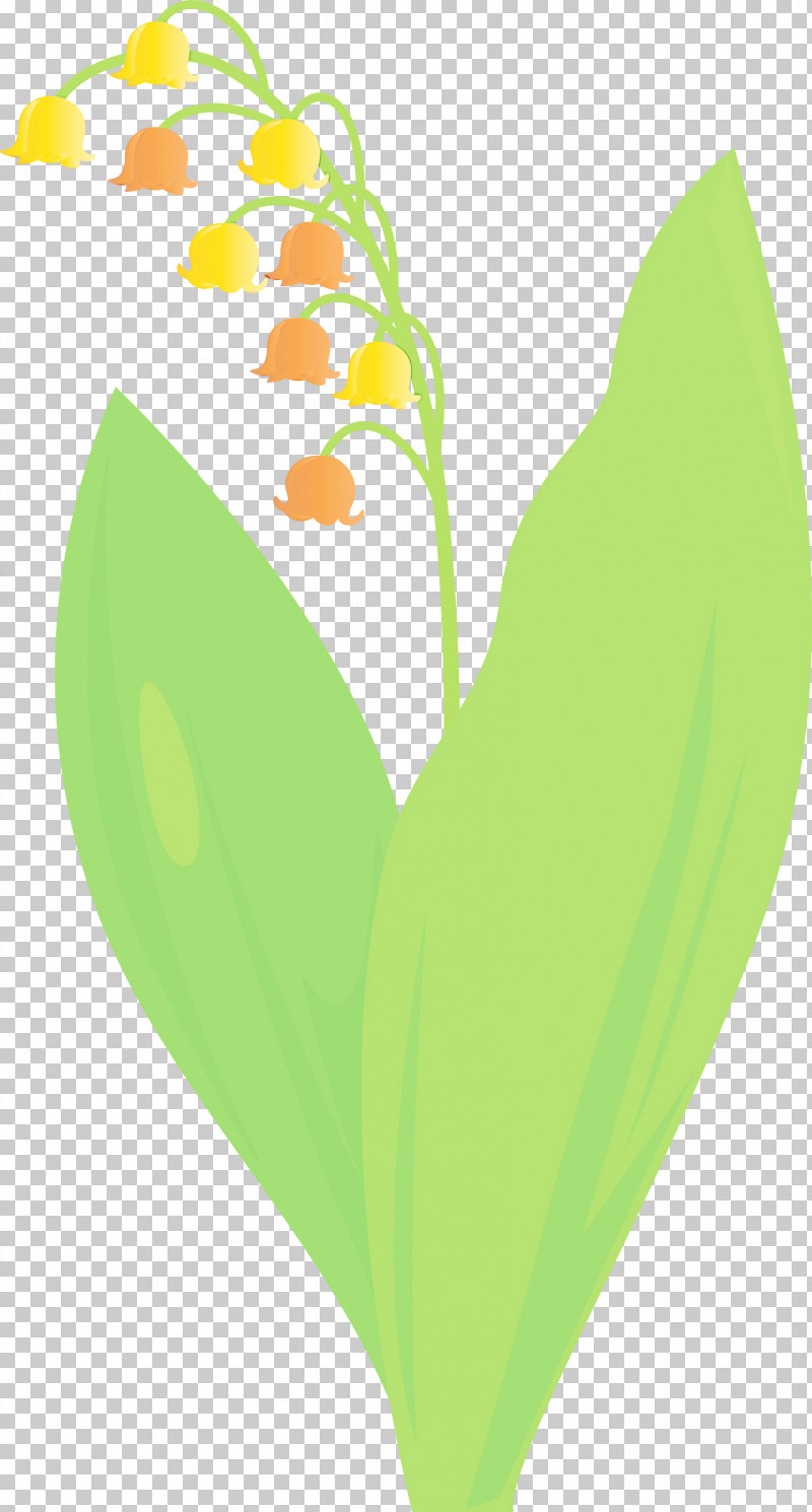 Leaf Green Lily Of The Valley Yellow Plant PNG, Clipart, Anthurium, Flower, Green, Heart, Leaf Free PNG Download