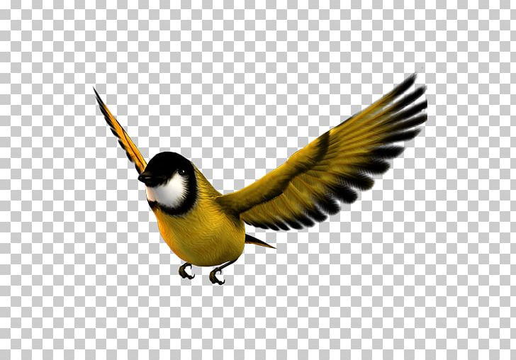 Bird Flight Atlantic Canary Icon PNG, Clipart, Animals, Atlantic Canary, Atmosphere, Bald Eagle, Beak Free PNG Download