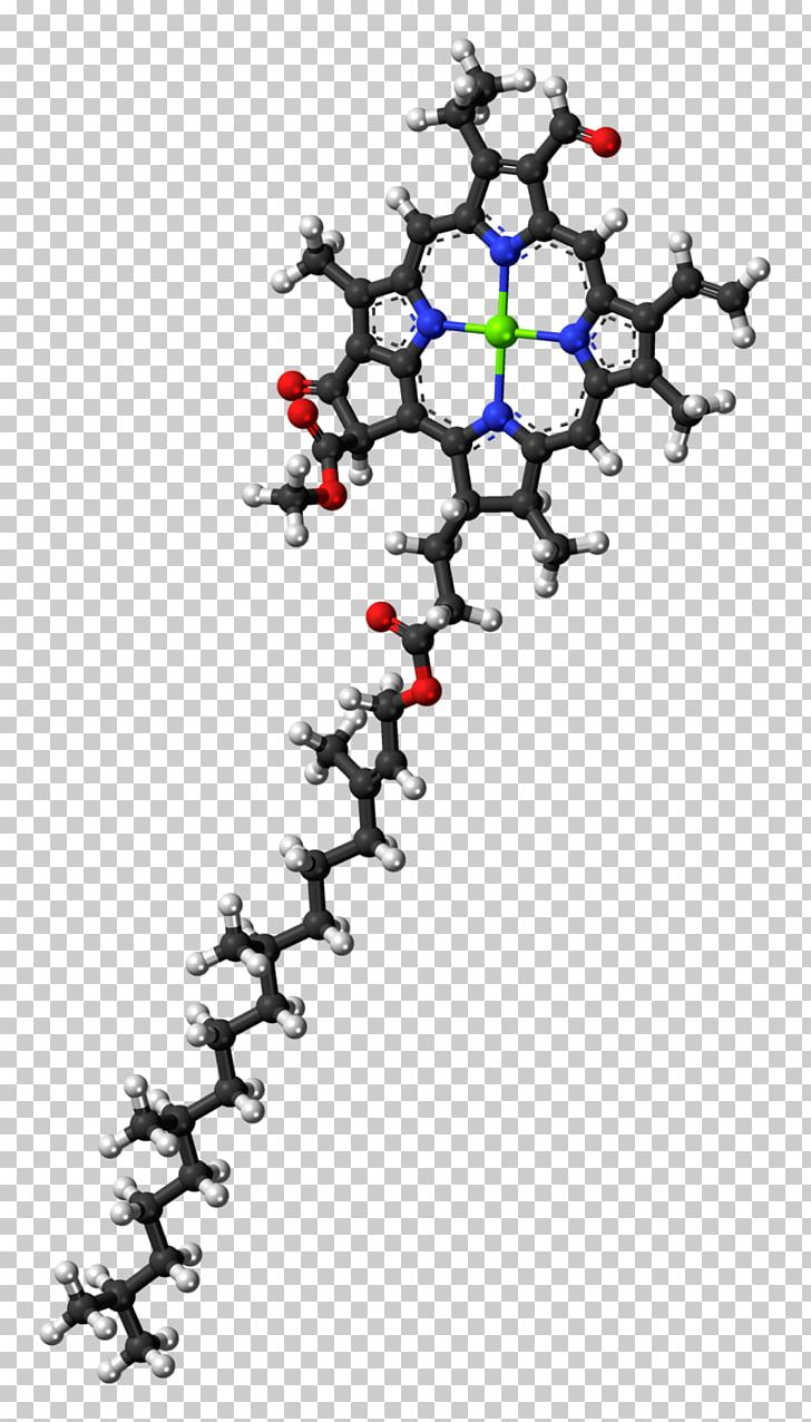 Chlorophyll A Chlorophyll B Molecule Photosynthesis PNG, Clipart, Absorption, Ballandstick Model, Biological Pigment, Body Jewelry, Branch Free PNG Download