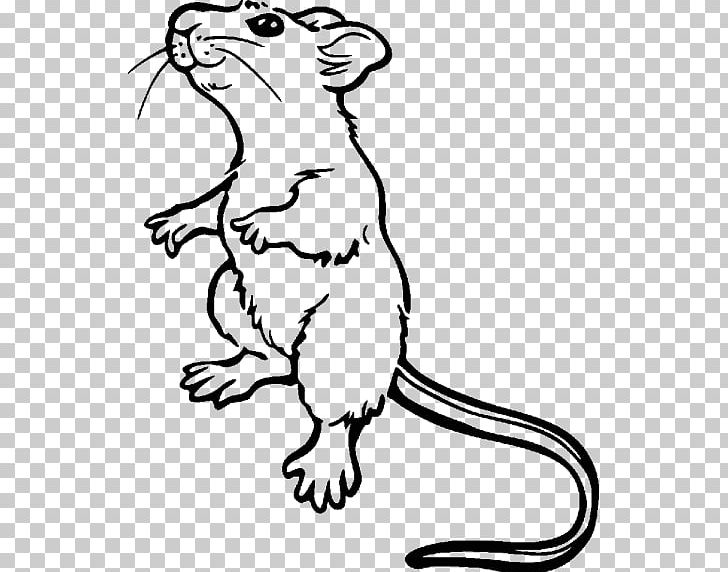 Computer Mouse Angelet De Les Dents Minnie Mouse Drawing Rat PNG, Clipart, Animal Figure, Animated Cartoon, Art, Artwork, Carnivoran Free PNG Download