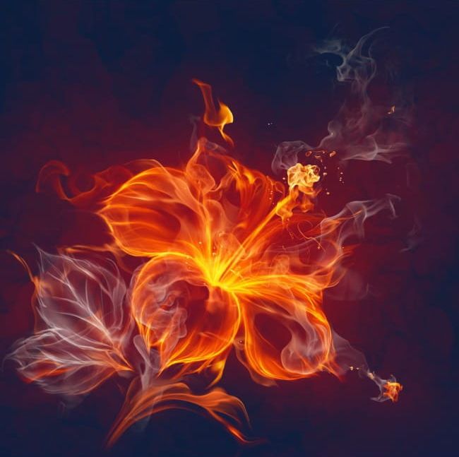 Flame Flower Golden Surround Effect PNG, Clipart, Effect, Effect Clipart, Flame, Flame Clipart, Flower Free PNG Download