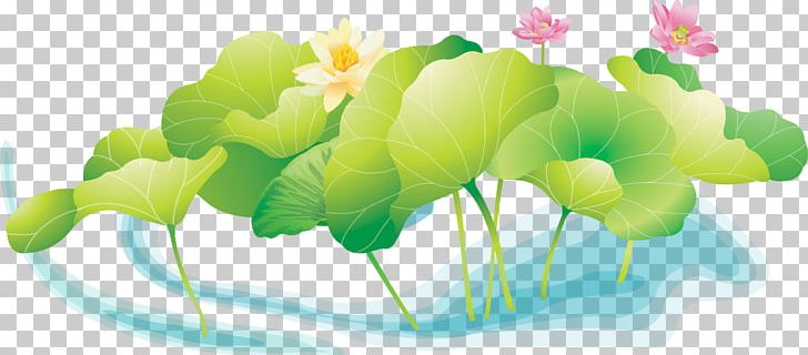 Koi Sacred Lotus 畫荷花 Pond Graphics PNG, Clipart, Birdandflower Painting, Common Carp, Computer Wallpaper, Download, Fish Free PNG Download