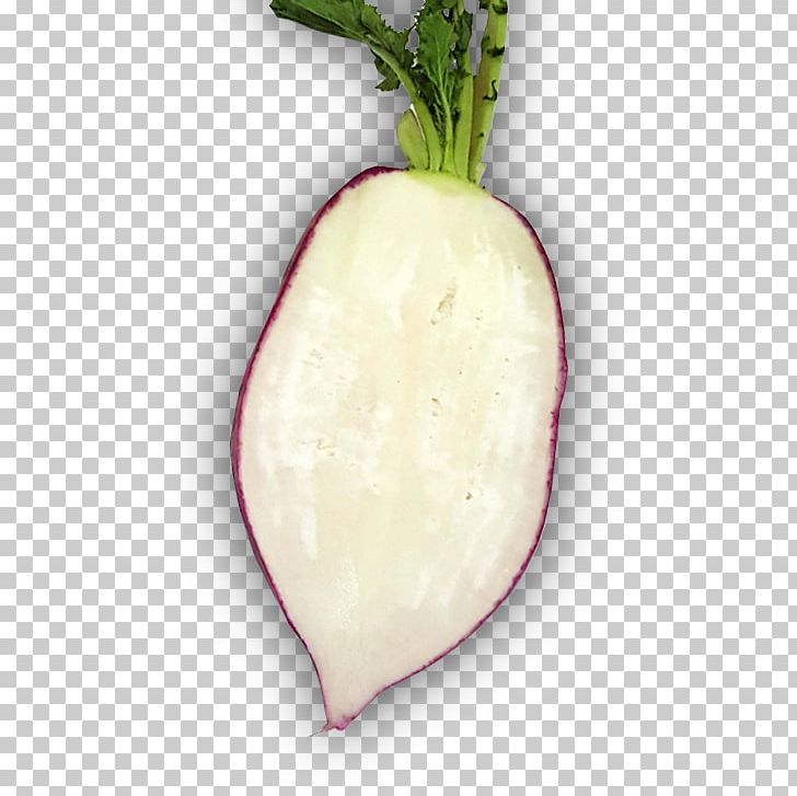 Radish Turnip Kohlrabi PNG, Clipart, Caterpillar Fungus, Food, Kohlrabi, Radish, Turnip Free PNG Download