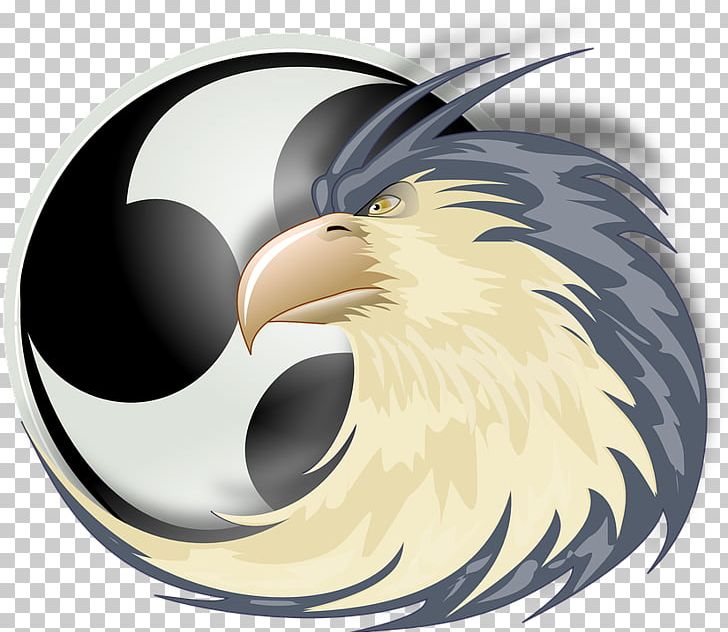 Bird Of Prey Beak Eagle PNG, Clipart, Animal, Animals, Animated Film, Beak, Bird Free PNG Download