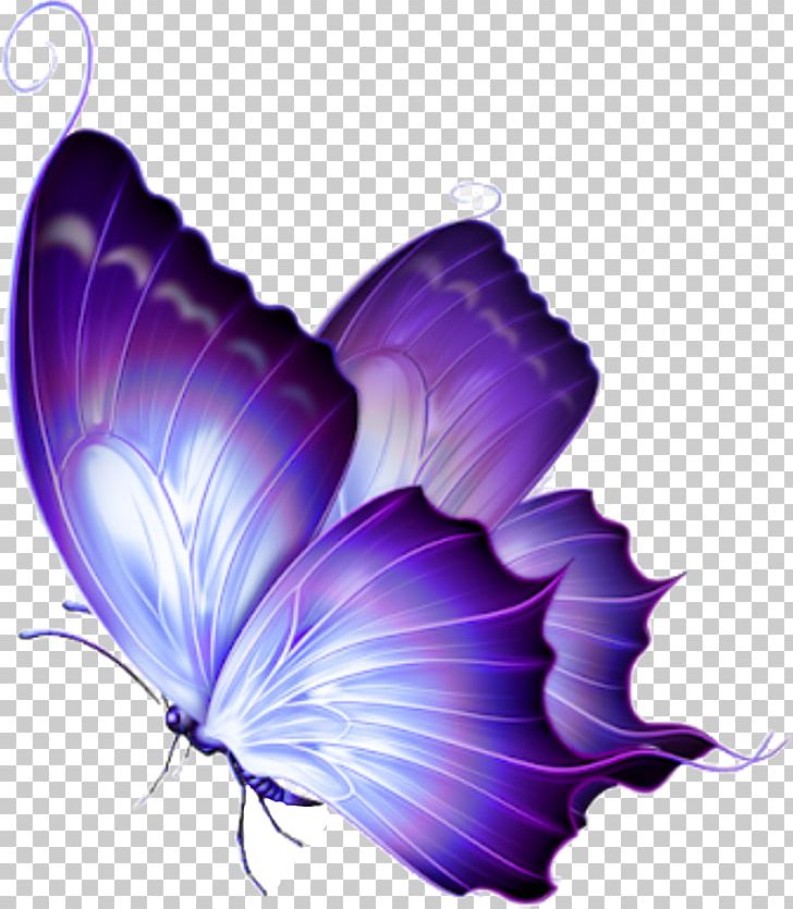 Butterfly Portable Network Graphics Purple PNG, Clipart, Blue, Butterfly, Butterfly Butterfly, Color, Computer Free PNG Download