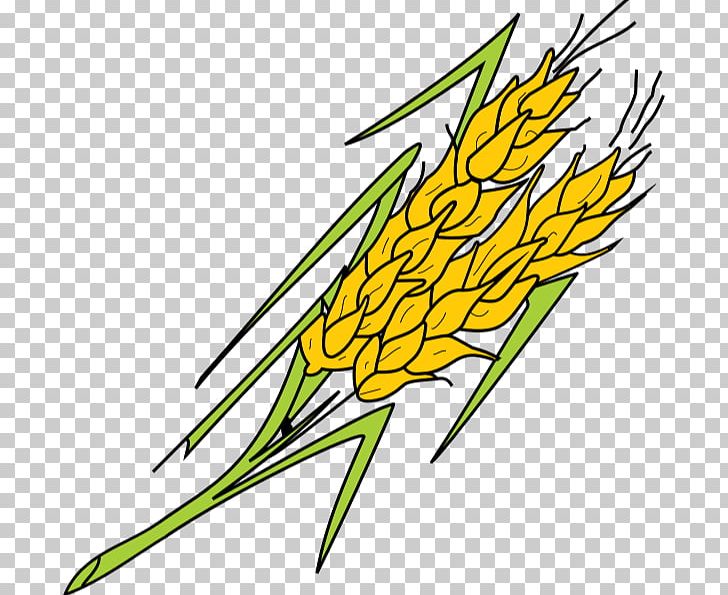 Grasses Plant Stem Leaf Commodity PNG, Clipart, Artwork, Commodity, Family, Flora, Flower Free PNG Download