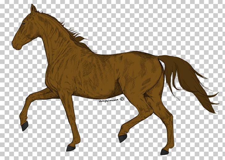 Mane Foal Stallion Mare Mustang PNG, Clipart, Bri, Colt, Drawing, Ecoregion, Ecosystem Free PNG Download