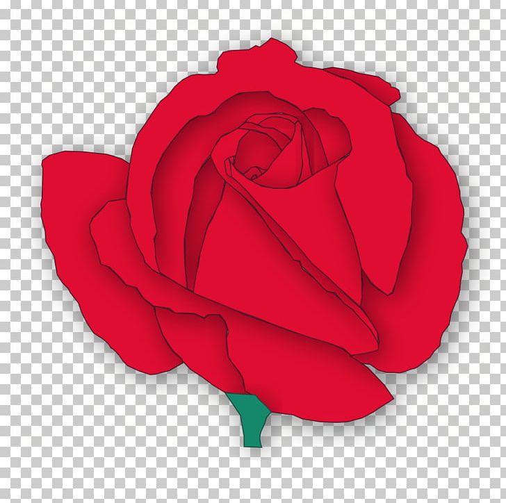 Rose Free Content PNG, Clipart, Blog, Flower, Flowering Plant, Free Content, Garden Roses Free PNG Download