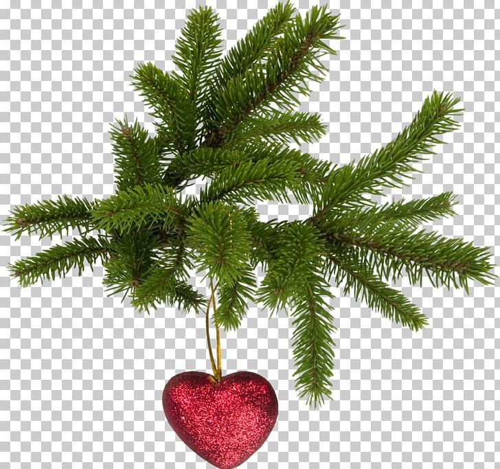 Christmas Tree Christmas Decoration Christmas Ornament PNG, Clipart, Artificial Christmas Tree, Branch, Christmas, Christmas Decoration, Christmas Lights Free PNG Download