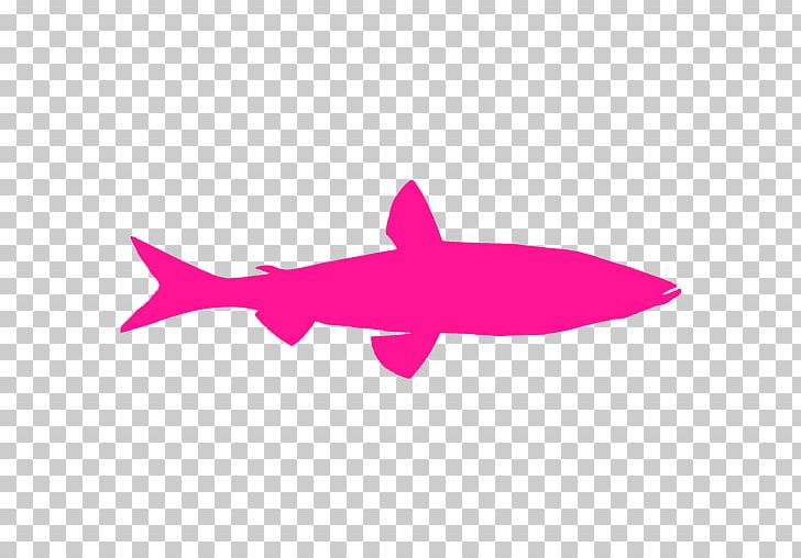 Shark Computer Icons PNG, Clipart, Animal, Animals, Cartilaginous Fish, Clip Art, Computer Icons Free PNG Download