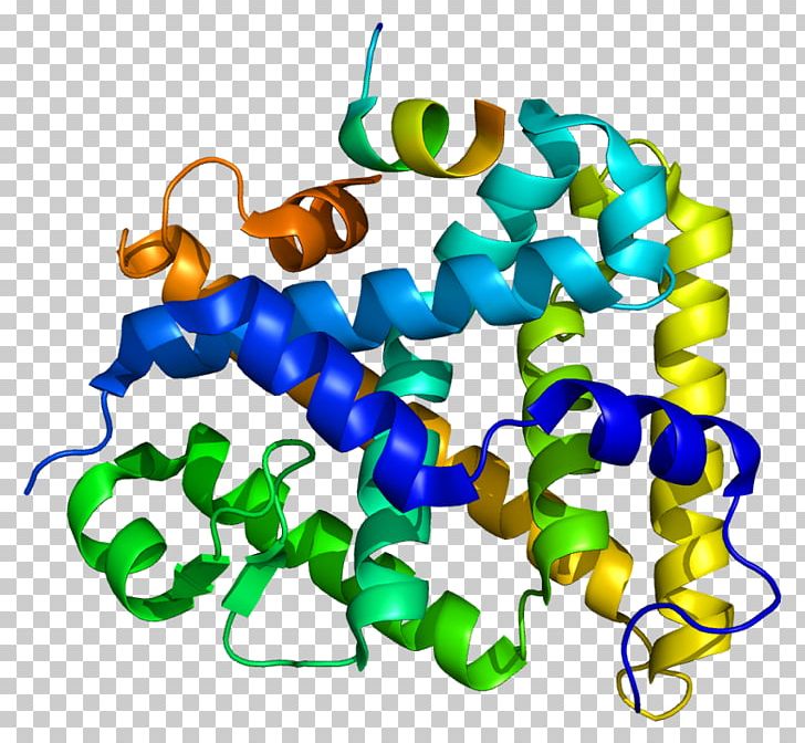 Steroidogenic Factor 1 Steroidogenic Acute Regulatory Protein Nuclear Receptor Gene PNG, Clipart, Body Jewelry, Dominance, Gene, Gonad, Homeobox Free PNG Download