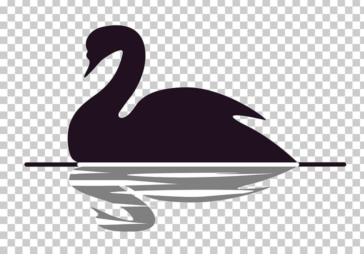 The Black Swan: The Impact Of The Highly Improbable Black Swan Theory Vedanta PNG, Clipart, Adi Shankara, Advaita Vedanta, Author, Beak, Bird Free PNG Download