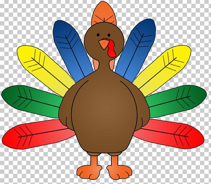 Turkey Meat PNG, Clipart, Animation, Beak, Bird, Blog, Chicken Free PNG Download