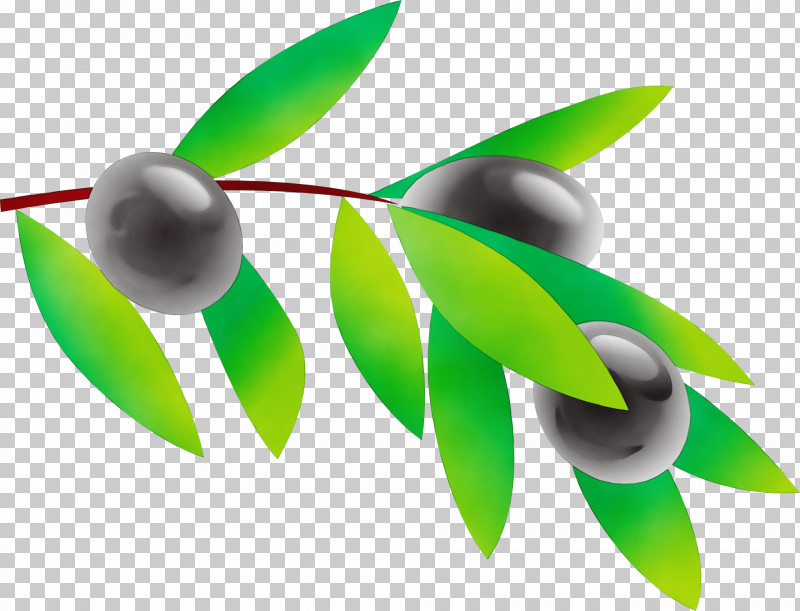 Green Leaf Plant Logo Flower PNG, Clipart, Flower, Green, Leaf, Logo, Paint Free PNG Download