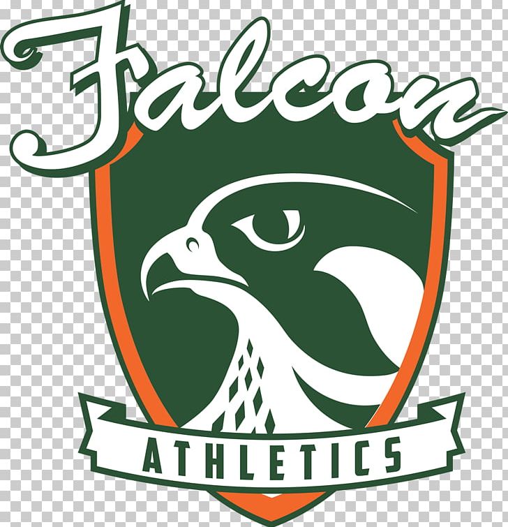 Atlanta Falcons Sport American Football Mascot Team PNG, Clipart, American Football, Area, Artwork, Athlete, Atlanta Falcons Free PNG Download