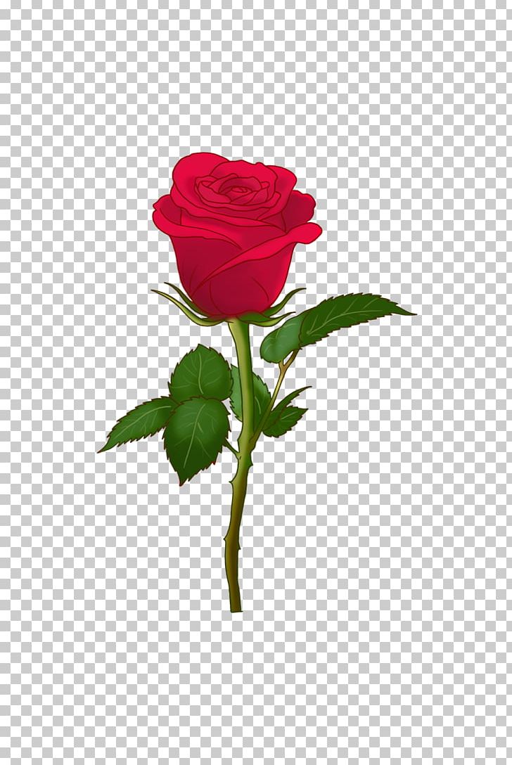 Centifolia Roses Art Emoji Garden Roses Soch Na Sake-Sab Tera PNG, Clipart, Art, Art Emoji, Bud, Carnation, Centifolia Roses Free PNG Download