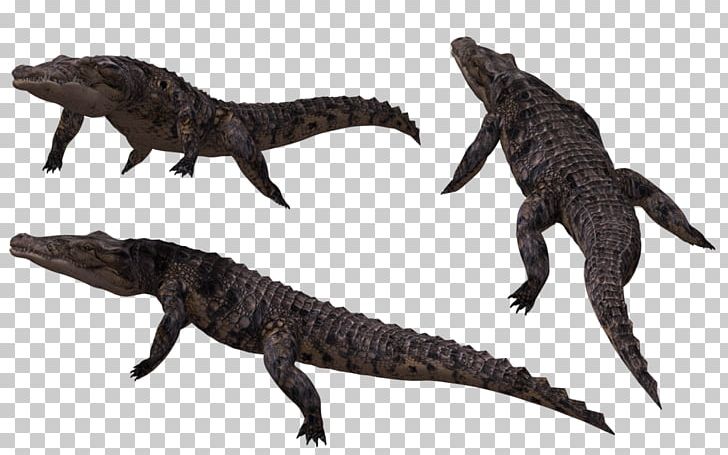 Crocodiles Alligator PNG, Clipart, Alligator, Animal, Animal Figure, Animals, Computer Graphics Free PNG Download
