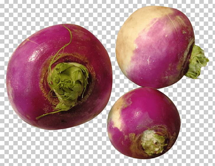 Turnip Rutabaga Root Vegetables PNG, Clipart, Beet, Beetroot, Carrot, Cooking, Daikon Free PNG Download