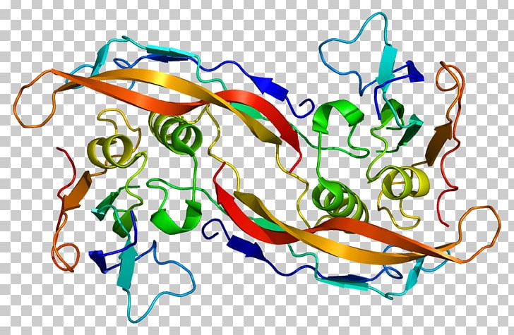 BMPR1A Bone Morphogenetic Protein Receptor Wnt Signaling Pathway PNG, Clipart, Area, Art, Artwork, Bmpr1a, Bone Free PNG Download