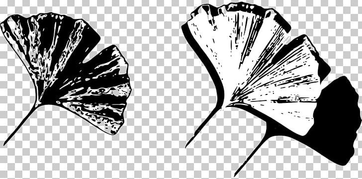 Ginkgo Biloba Leaf PNG, Clipart, Black And White, Butterfly, Charms Pendants, Earring, Gingko Free PNG Download