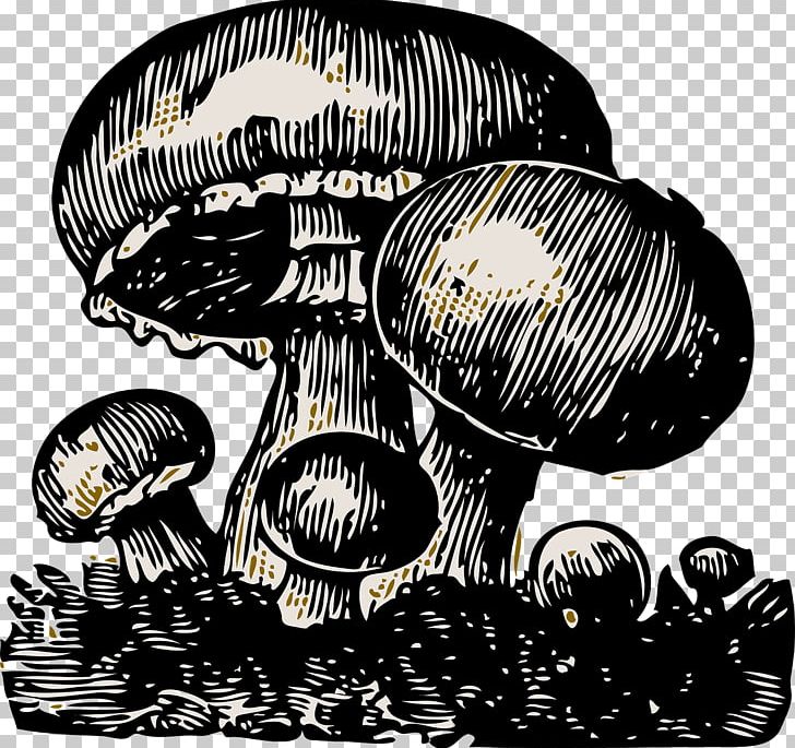 Mushroom Fungus PNG, Clipart, Black And White, Boletus Edulis, Computer Icons, Edible Mushroom, Fungus Free PNG Download