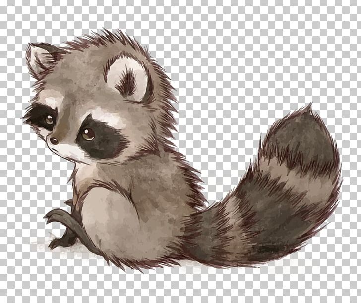 Raccoon Squirrel Drawing Cuteness Cat PNG, Clipart, Animal, Animals, Carnivoran, Cartoon, Fauna Free PNG Download